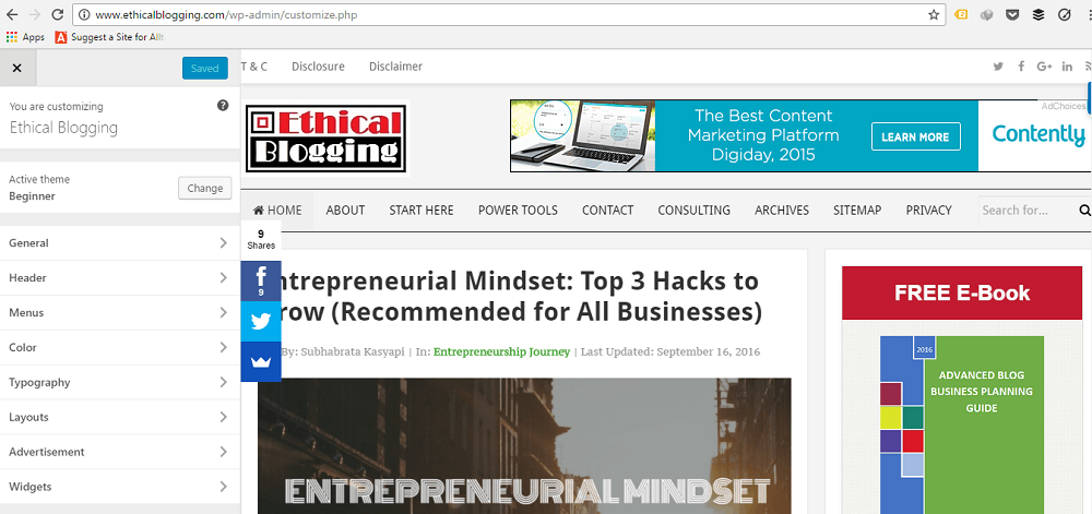 Beginner Theme Customization Panel