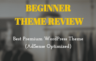 Beginner Theme Review Featured Image 2