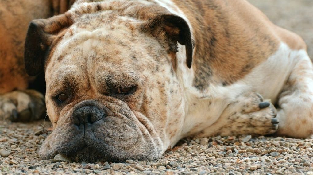 Traits of Super Successful Bloggers Procastination Image (www.ethicalblogging.com)